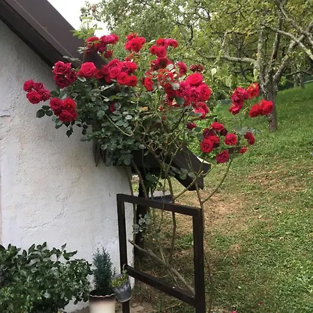 בית נופש Vilijev Raj, A With In The Countryside