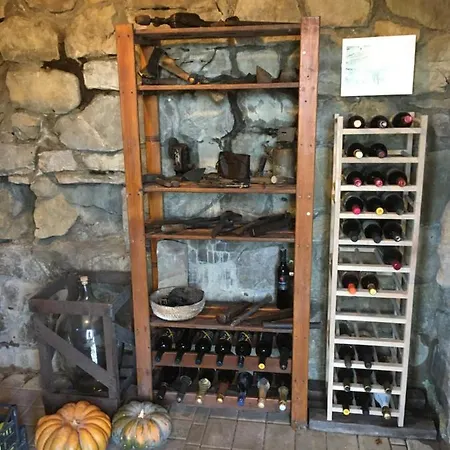 Vilijev Raj, A With In The Countryside בית נופש Avce