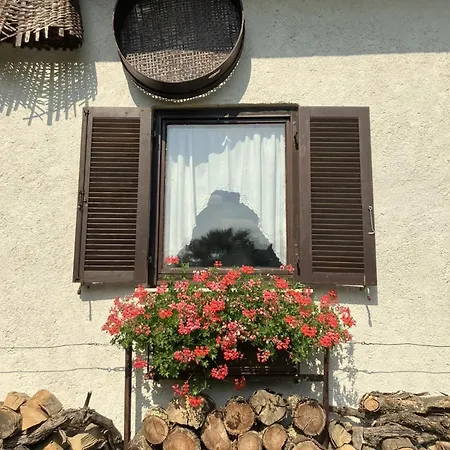 Vilijev Raj, A With In The Countryside בית נופש *