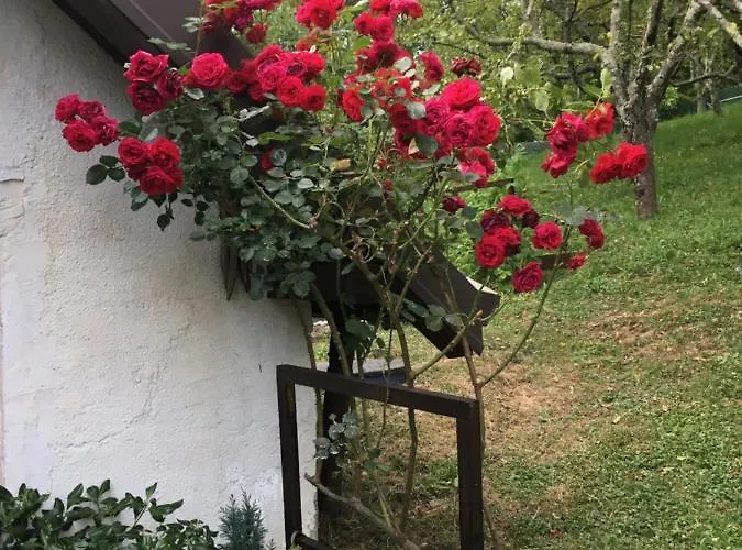 Vakantiehuis Vilijev Raj, A With In The Countryside