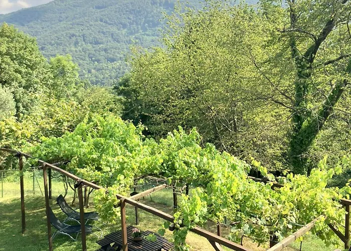 Vilijev Raj, A With In The Countryside Vakantiehuis